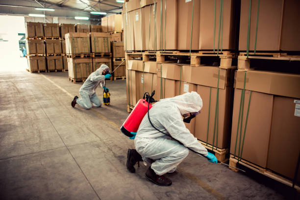Best Best Pest Control Companies  in Valencia West, AZ