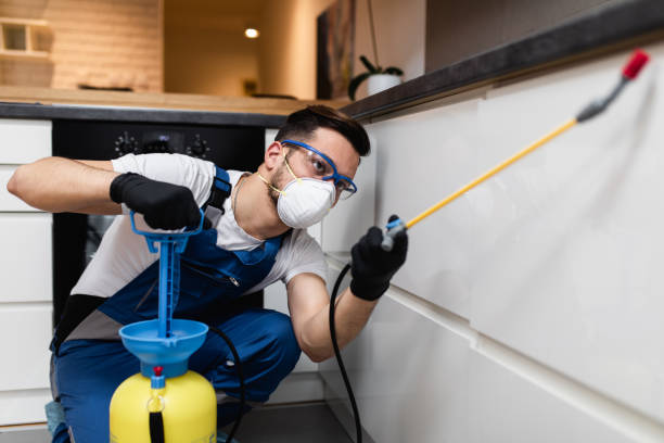 Best Local Pest Control Services  in Valencia West, AZ