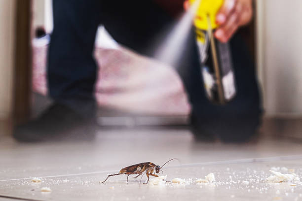 Pest Prevention Services in Valencia West, AZ